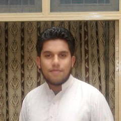 Mian Naveed
