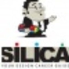 Silica Inst