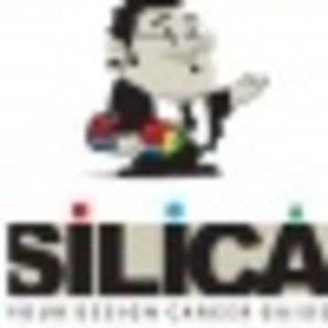 Silica Inst
