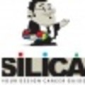 Silica Inst
