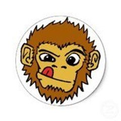 monkey-shower