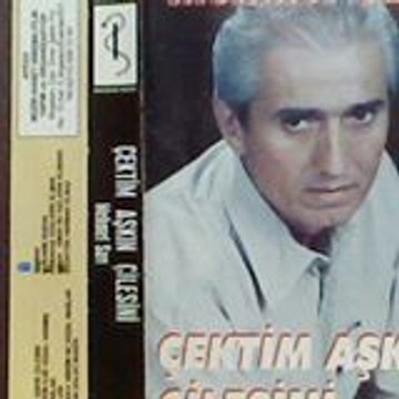 Mehmet Sarı