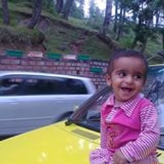 Murk Sindhi