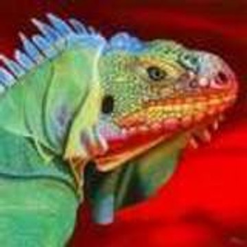 iguanodon