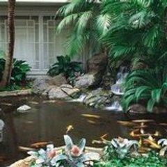 Huntington Beach Pond Repair