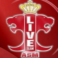 LiveTeam ASM