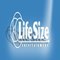 LifeSize_Entertainment