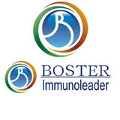 Boster Immunoleader