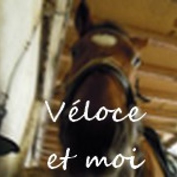 HorseLove87