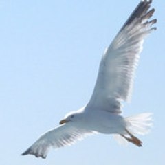 Ioann21