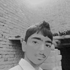 Ali Loi