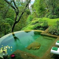 Construire une piscine naturelle