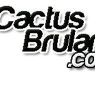 Cactus-Brulant