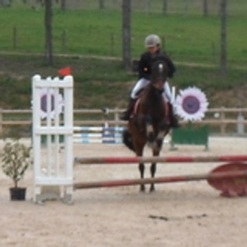 clara33399