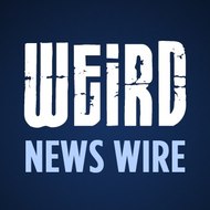 Weird News Wire