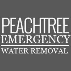 peachtreeewaterremoval