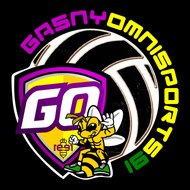 GO91 Volley-ball Gasny