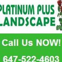 Platinumplus Landscape