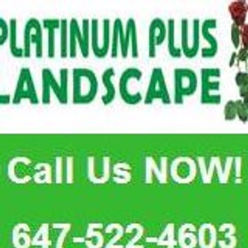 Platinumplus Landscape