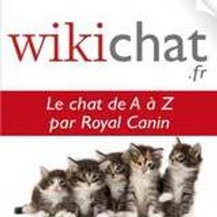 Wikichat