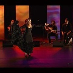 MTFlamenco