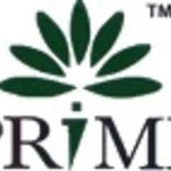 Prime Cares