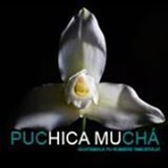 Púchica Muchá