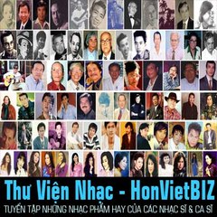 Thư Viện HonVietBIZ