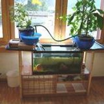 Aquaponic Building
