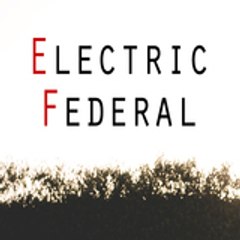 ElectricFederal