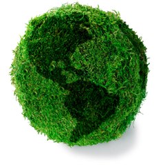 Untold Earth