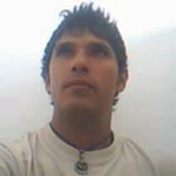 LoMasFlex