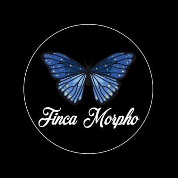 Finca Morpho