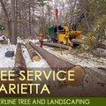 TimberlineTree