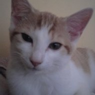 Vanessa Besters Vanessa