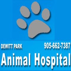 Dewitt Park Animal Hospital