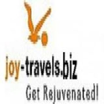 joy travel