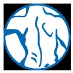 SparksChiropractor