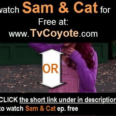 SamAndCatUni