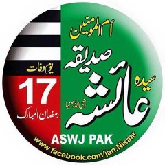 SSP 313