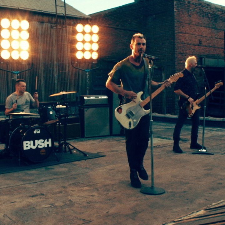 Dailymotion profile picture for @bush