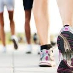 Fitbit Review