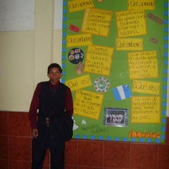 ferraulsilva