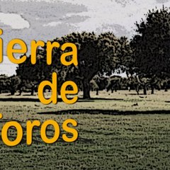 tierradetoros