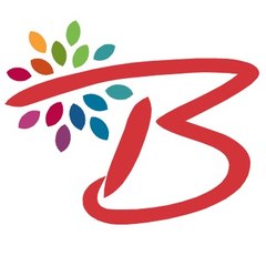 Brilliant Designs