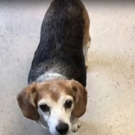 TheFullAlbumUploaded