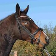 Haras Du Lirou Buard