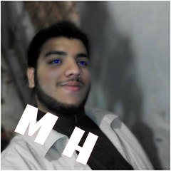 Muhammad Hasnain Shafqat Malik
