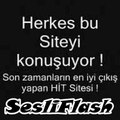 Sesli_Flash