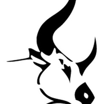 Black Toro Media